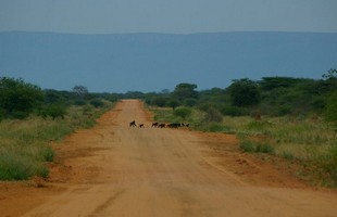 795 Namibia Okt 2006 .JPG